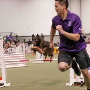 Meet your Posher, Joel